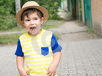 Summer portrait toddler boy in straw hat. Stock Photo