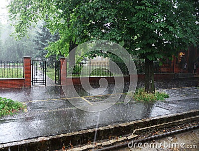 Summer rain Stock Photo