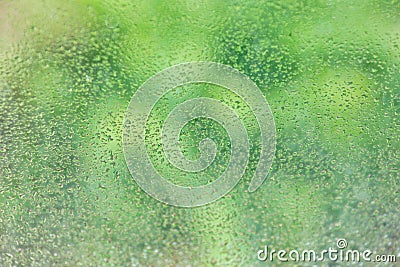 summer rain drops on window glass fresh green background Stock Photo