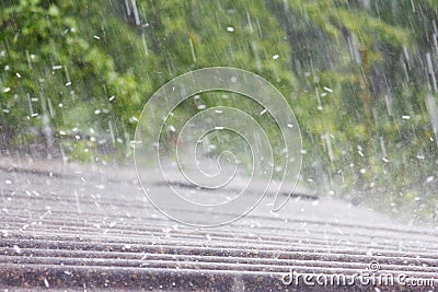 Summer rain with hail Stock Photo