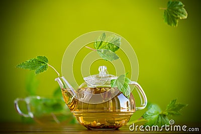 Summer refreshing organic tea from currant leaves in a glass teapot Stock Photo