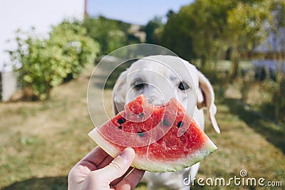 Summer refreshment on the backyard Stock Photo