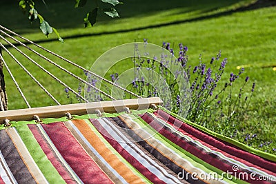 Summer relax Stock Photo