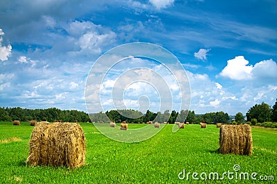 Summer rural landscape Stock Photo
