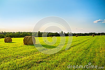 Summer rural landscape with a field and hay Stock Photo