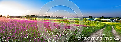 Summer rural landscape panorama with a blossoming meadow Stock Photo