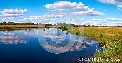 Summer rushy lake panorama Stock Photo