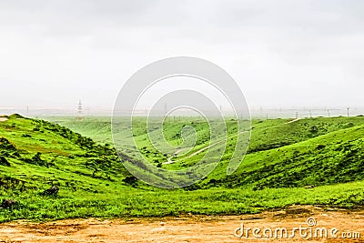 Lush green landscape, trees and foggy mountains in Ayn Khor tourist resort, Salalah, Oman Stock Photo