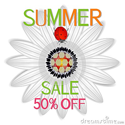 Summer sale banner with abstract daisy a red ladybug on a on a white background. Vector Illustration