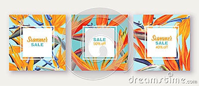 Summer sale banner with tropical flowers - Strelitzia, on background with bright colours. Vector Illustration
