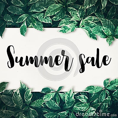 Summer sale text with green leaf Stock Photo