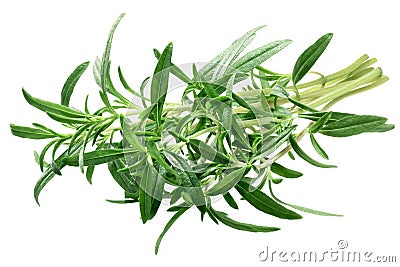 Summer savory Satureja hortensis bundle, paths Stock Photo