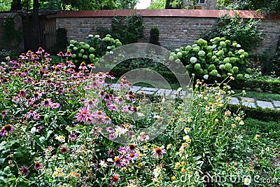 Cottage summer perennials garden in Schlosshof Austria professionally planted with groups of perennials Stock Photo