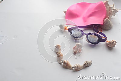 Summer seashell Stock Photo