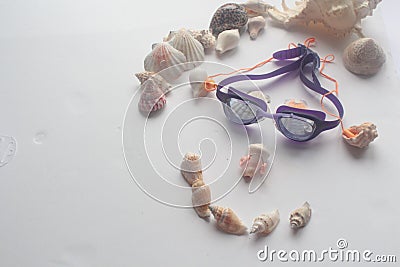 Summer seashell Stock Photo