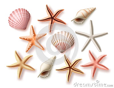 Summer seashells vector set. Beach sea shells collection and assorted aquatic objects Vector Illustration