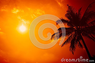 Summer season at the beach, silhouette palm tree with clear sunny sky Stock Photo