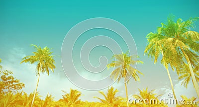 Summer season of holiday as the Tropical paradise design banner of palm tree which Coconut gradient sun and silhouette of palm Stock Photo