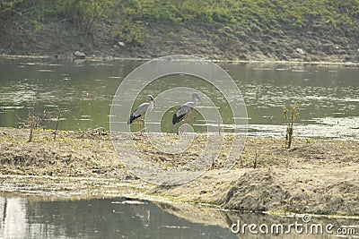 Summer season, lakes are exhausting as the temperature rises garadually. Now people are waiting for the rain Stock Photo