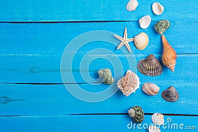 Summer setting With Few Marine Items background Stock Photo