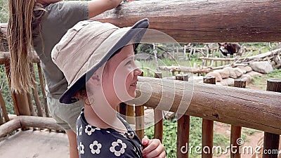 Summer small Zoo trip Editorial Stock Photo