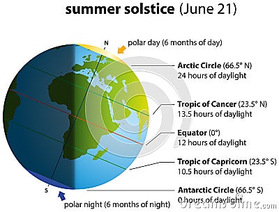 Summer Solstice Vector Illustration