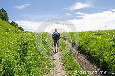 Summer sport - nordic walking. Man hiking on green Sunny mountain meadow. Active man outdoors. Beautiful healthy summer fitness Stock Photo