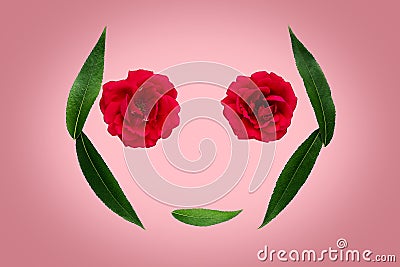 Summer or spring abstract symbol - silhouette of face from leaves and flowers on pink background. Nature concept Stock Photo