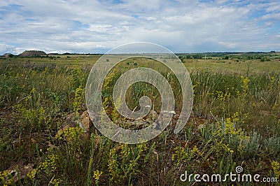 Summer steppe landscape Stock Photo