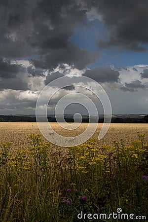 Summer stormy landscape Stock Photo