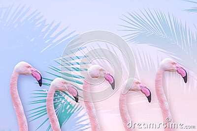 Summer style design with exotic flamingo and palm trees on bright colour background Stock Photo