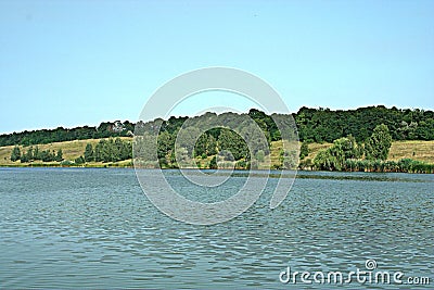 Green shore of a large pond Stock Photo