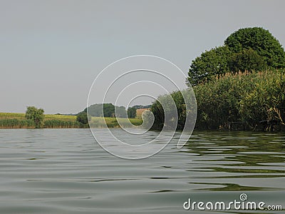 Green shore of a large pond Stock Photo