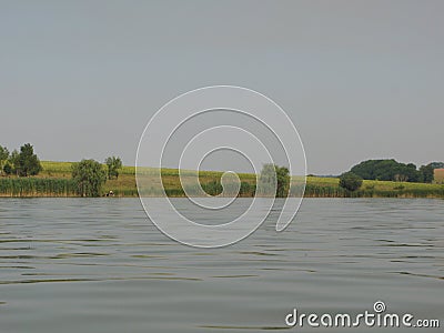 Green shore of a large pond Stock Photo