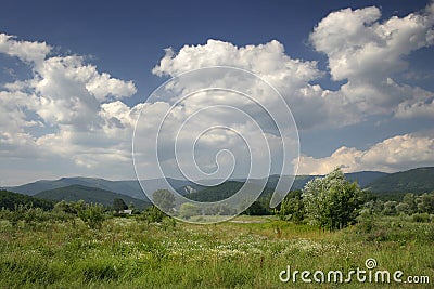 Summer Sunny Landscape Stock Photo