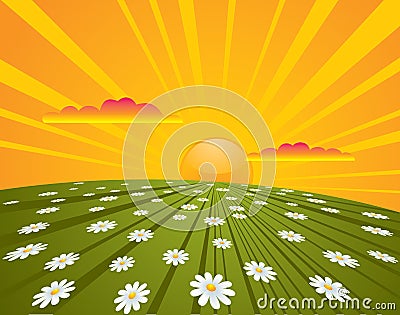 Summer Sunrise Vector Illustration