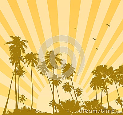 Summer sunrise with palms Vector Illustration