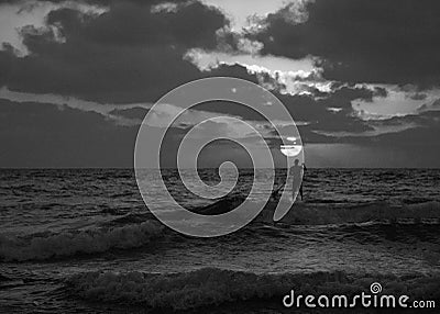 Summer sunset view of a beach under a cloudy sky with a single sup surfer silhouette in black and white Editorial Stock Photo