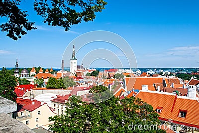 Summer Tallinn Stock Photo