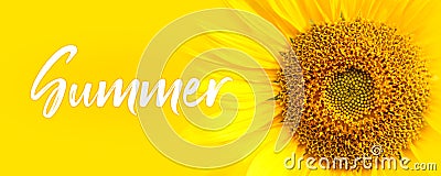 Summer text and sunflower close-up details. oncept for summer, sun, sunshine, tropical summer travel and hot days. Stock Photo