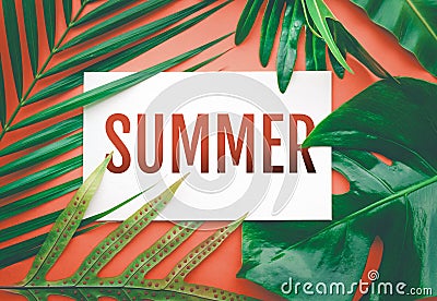 Summer text with tropical leaves in pastel color background. Stock Photo