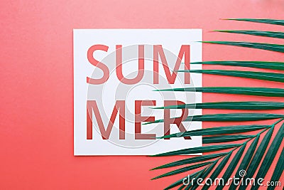 Summer text with tropical leaves in pastel color background. Stock Photo