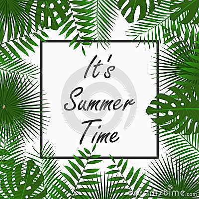 Summer Time card design with - tropical palm leaves, jungle leaf , exotic plants and border frame. Graphic for poster, banner. Vector Illustration