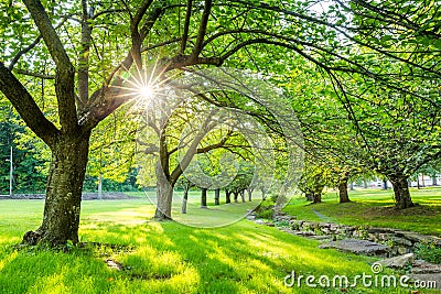 Summer time in Hurd Park, Dover, NJ Stock Photo