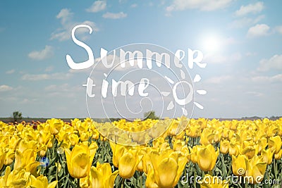Summer time lettering with blur background. Stock Photo