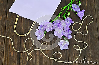 Summer time still life with lilac bell flowers Stock Photo