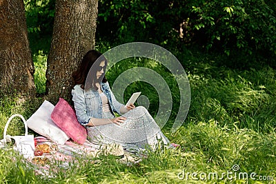 Summer time. Young woman at a picnic reading an e-book. Stock Photo