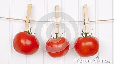 Summer Tomatoes Hanging from a Clothesline Stock Photo
