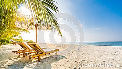 Summer travel destination background. Summer beach scene, sun beds sun umbrella and palm trees Stock Photo