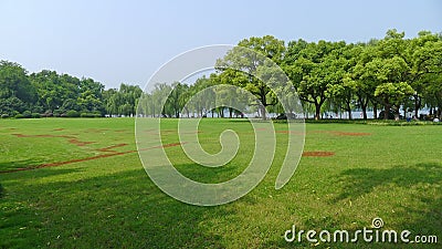 Summer trees with grassland Editorial Stock Photo